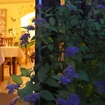 Hotel Magnes