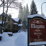Magnes
