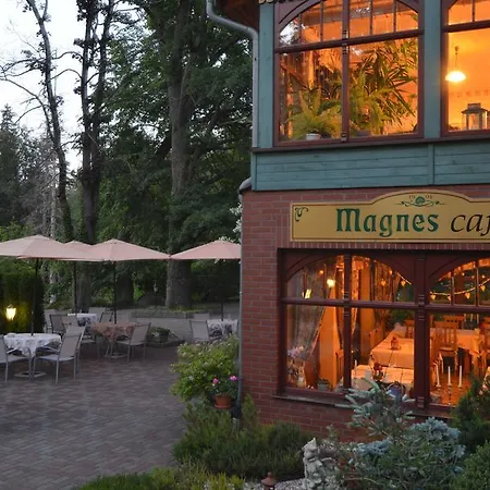 Magnes