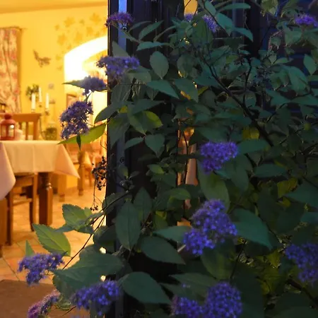酒店 马格尼斯酒店