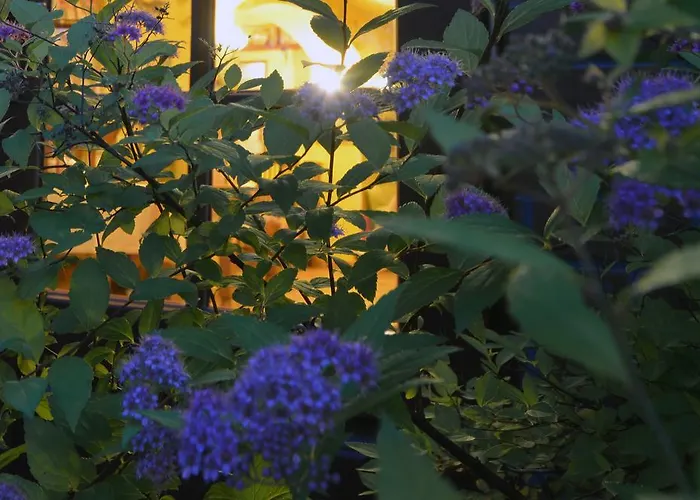 Отель Magnes Шклярска-Поремба