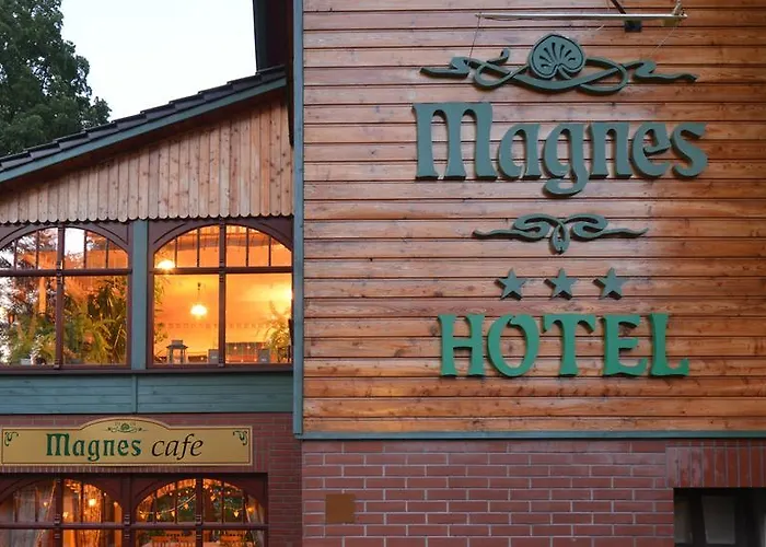 Отель Magnes 3*