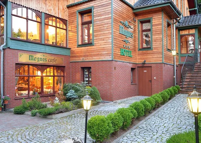 Отель Magnes