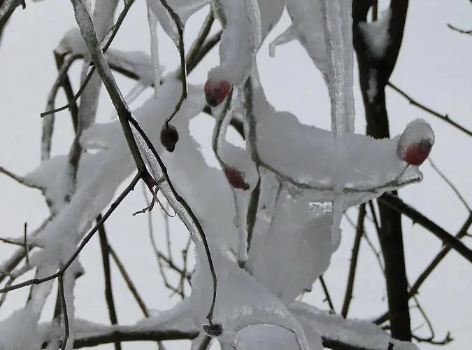 Magnes Отель 3*